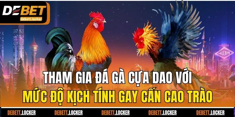 Tham gia đá gà cựa dao với mức độ kịch tính gay cấn cao trào